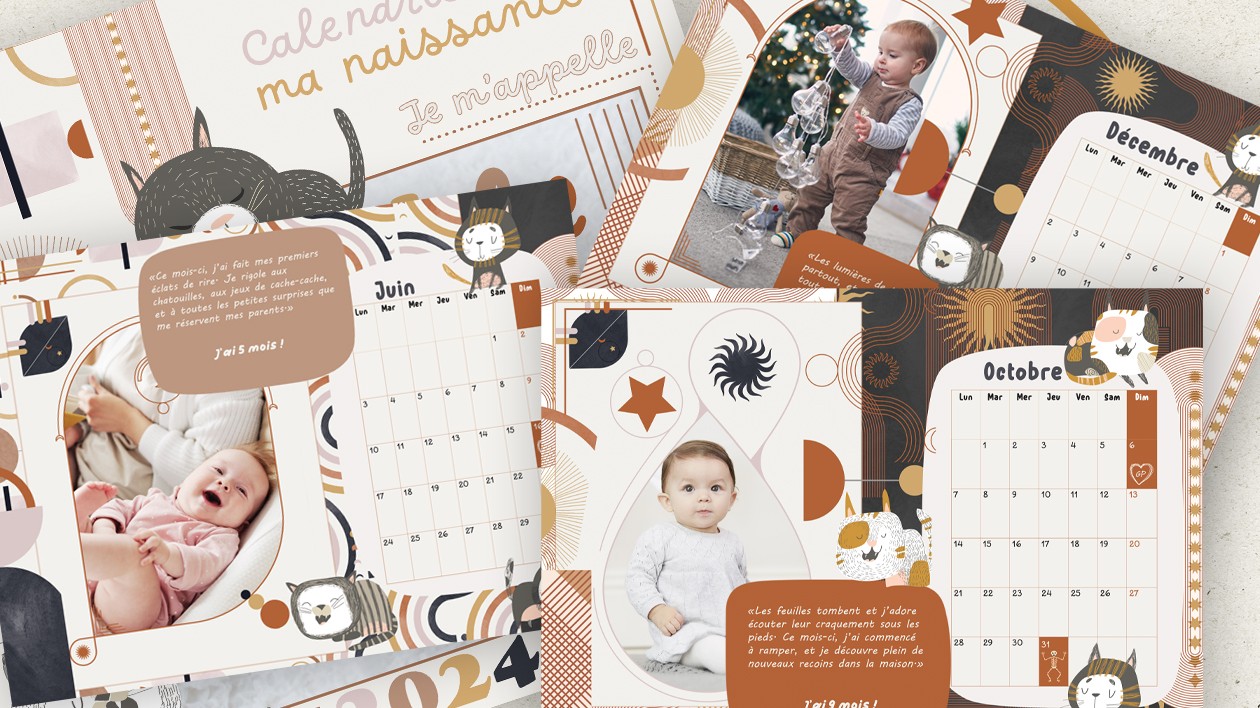 Ensemble De Cartes Étapes Bébé 1-12 Mois , Souvenirs Inoubliables De La