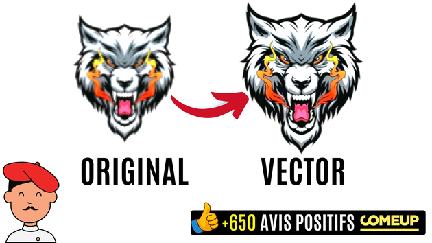 Je vais transformer votre logo/image pixélisé en image vectorielle ...