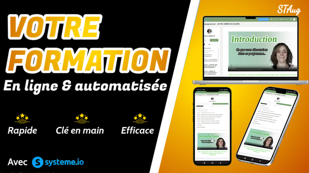Je vais mettre votre formation/cours en ligne sur système io et l ...