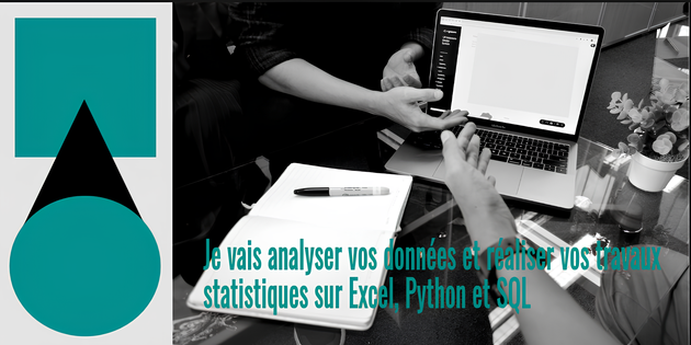 Je vais analyser vos données et réaliser vos travaux statistiques sur ...