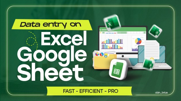 I will input your data on Excel or Google Sheet data entry service by ...