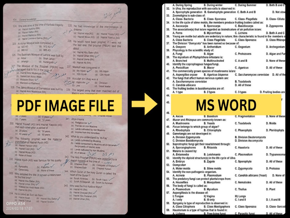 I will Data Entry, Excel, PDF to Word & Educational Documents by Islam ...