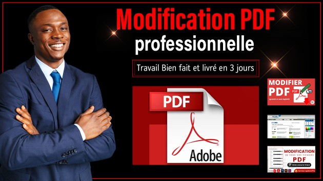 Je vais modifier vos documents PDF de manière professionnelle par DAKI ...