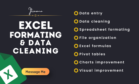 I will clean, format and organize your excel spreadsheet by WItiavana