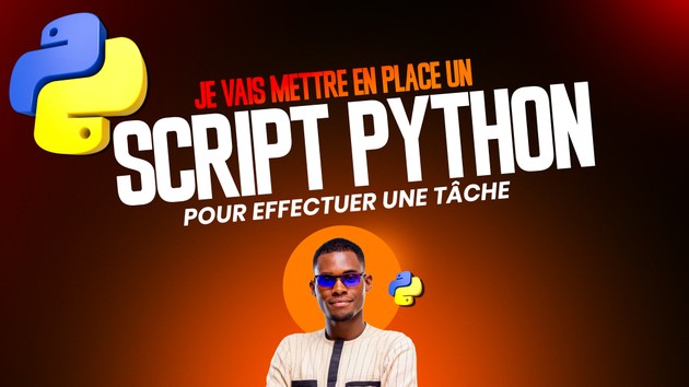Je vais mettre en place un script Python pour automatiser vos tâches ...