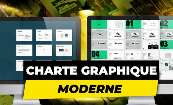 Je vais créer une charte graphique moderne et professionnelle pour ...