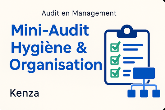 Je vais réaliser un mini-audit de votre organisation ou de vos ...