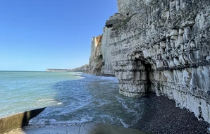 Yamine Bougherara