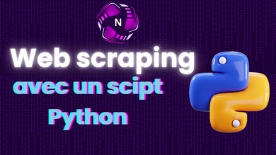 Script Python sur mesure pour scraper des données