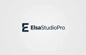 Elsa