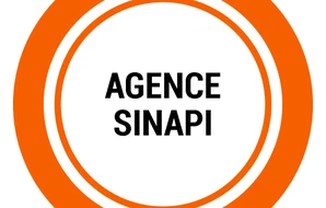Sinapi