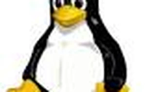 Robert