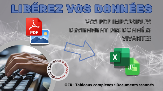 Je vais convertir vos PDF complexes en fichiers Excel propres et ...