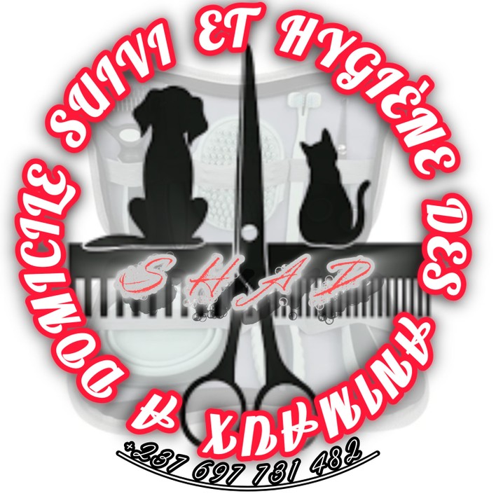 Je vais rédiger votre article de blog sur la santé animale en tant qu ...