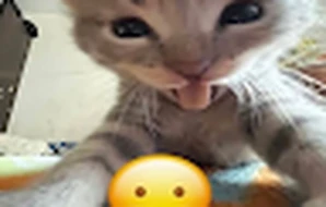 Titouan