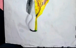 Alpha Kasongo