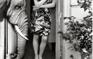 Muriel