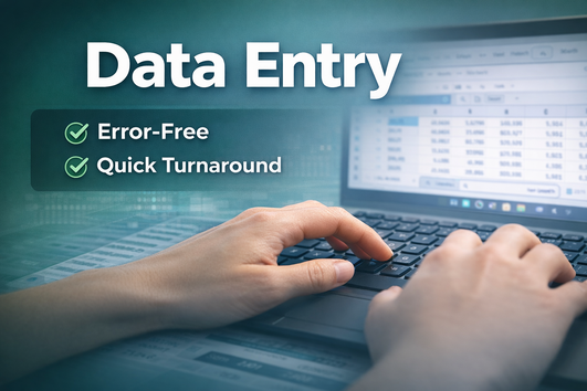 I will do fast and accurate data entry in Excel by YandongKe