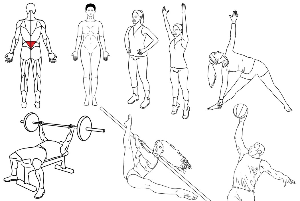 I will draw vector outline line art product illustration by Designood