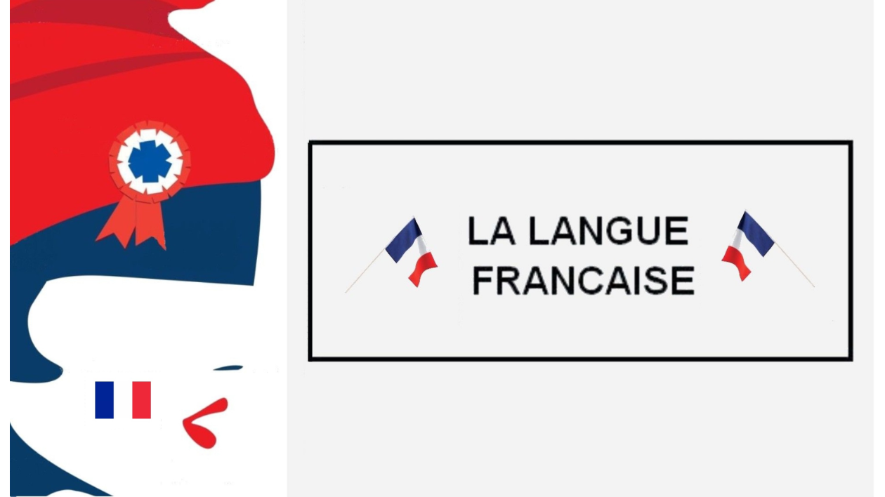 Je vais vous apprendre à parler ou progresser en Français pendant 30 minutes