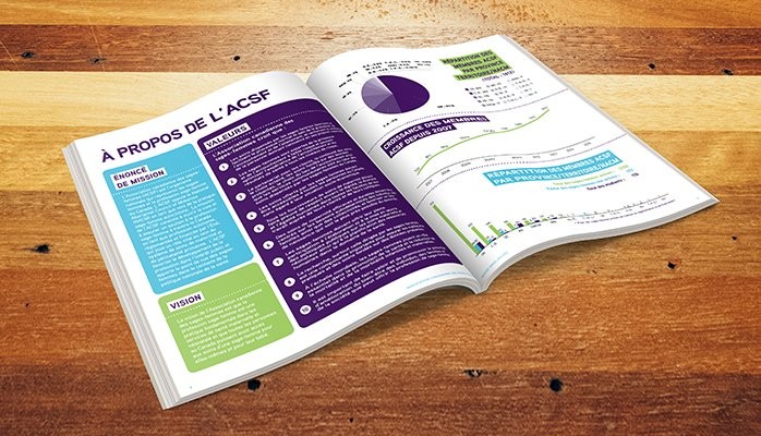 Je vais designer et faire la mise en page de votre rapport annuel d'activité d'entreprise