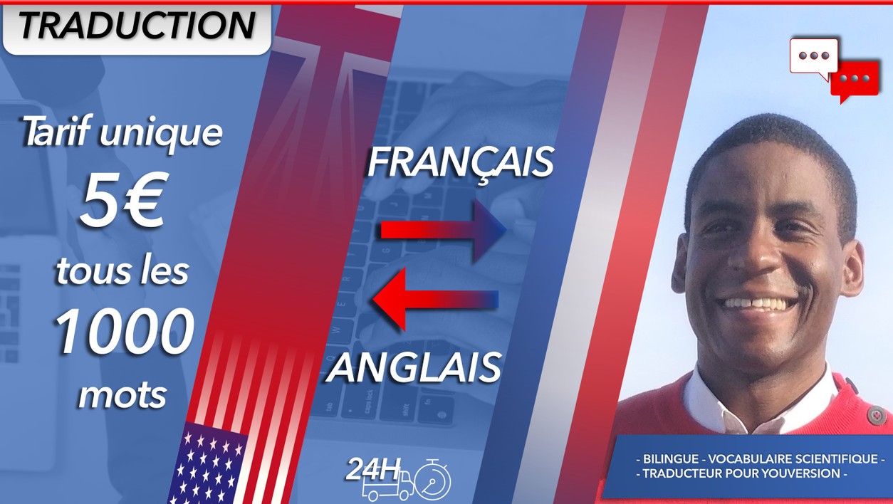 Je vais réaliser votre traduction français/anglais (tout texte) par yfois2