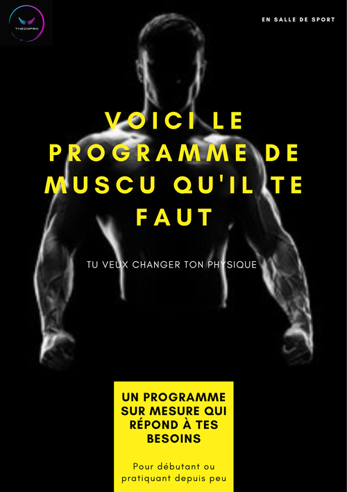 Programme Musculation Débutant 