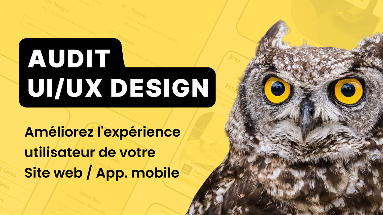 Je vais réaliser un Audit Design de votre site web / application Mobile