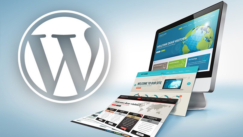 I will create a professional Wordpress / Woocommerce website adapted to your needs