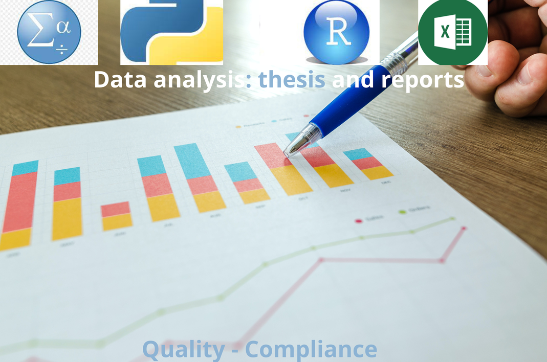 I will do a statistical analysis of your data with Excel, SPSS, R or Python