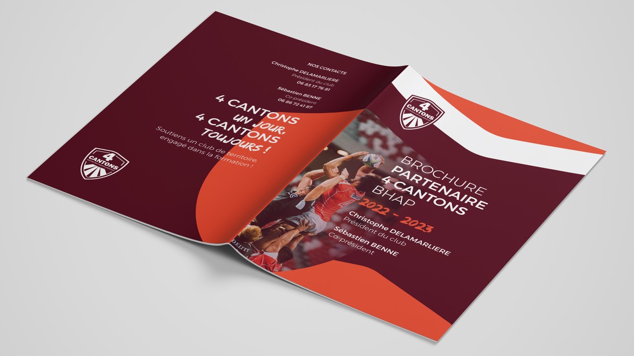 I will design a brochure in your image