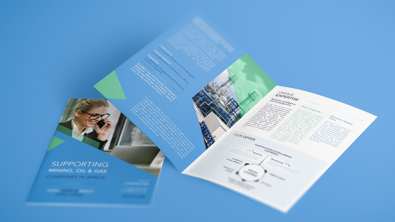 I will design a brochure in your image