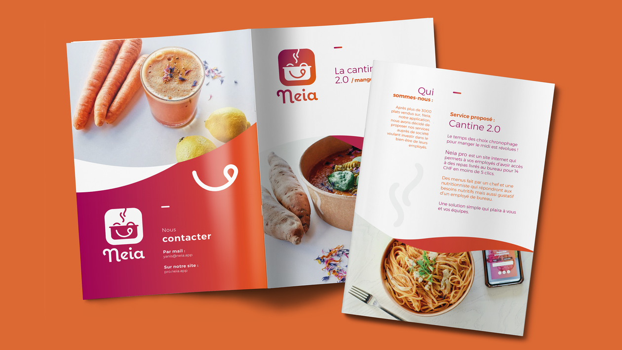 I will design a brochure in your image
