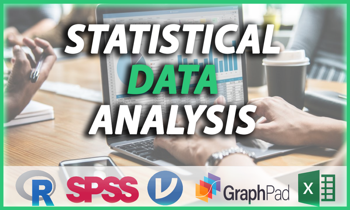 I will do statistical analysis with SPSS, EXCEL, Python and R