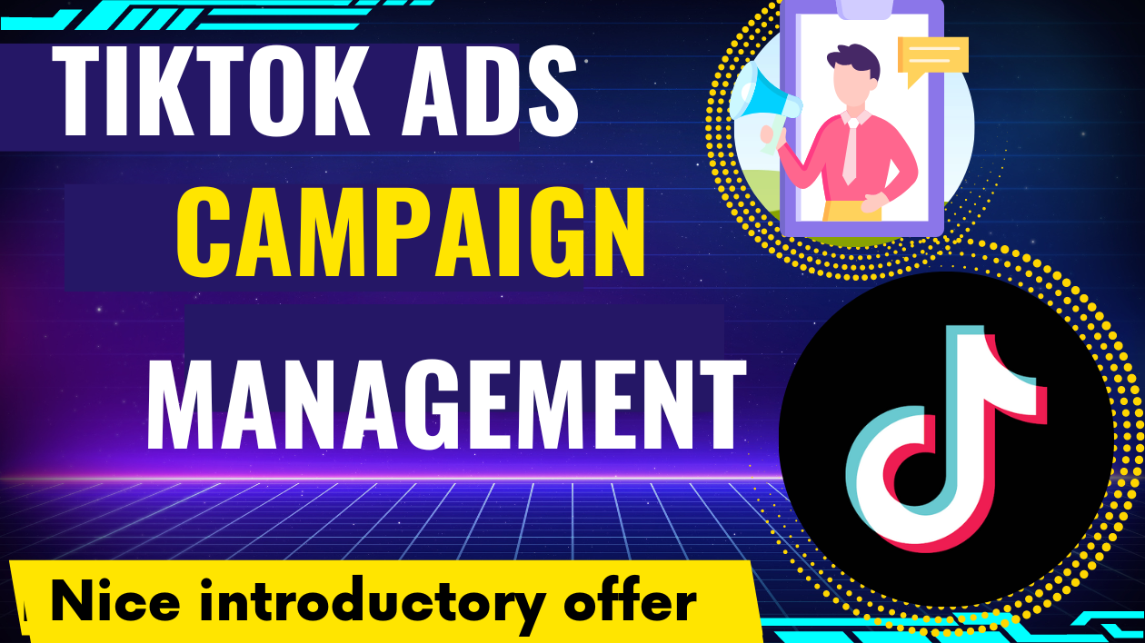I will manage your Tiktok advertising campaign