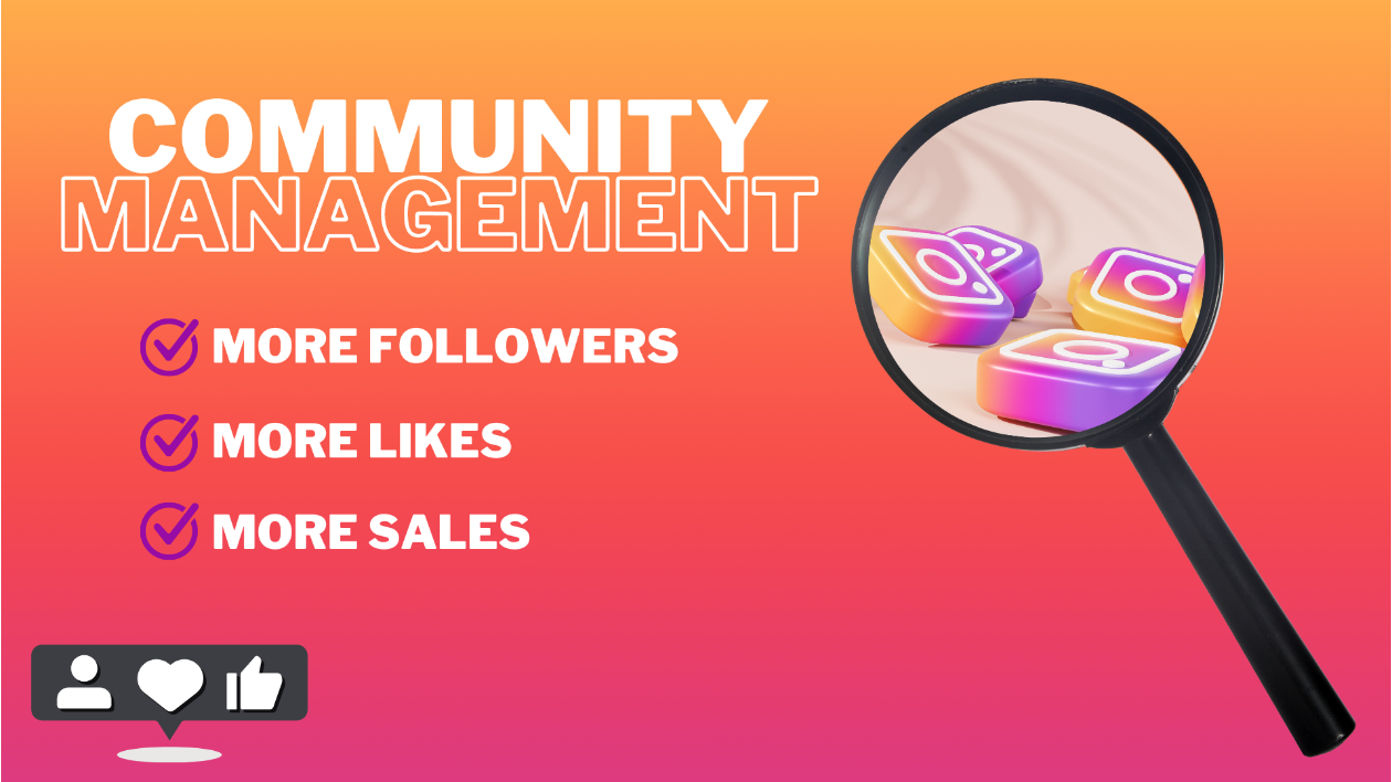 I will be your Instagram community manager