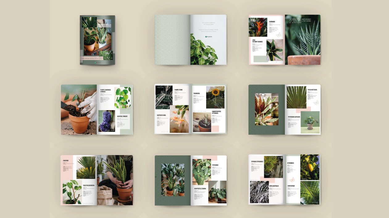 Je vais réaliser votre catalogue / brochure sur mesure par Romane_Ldt