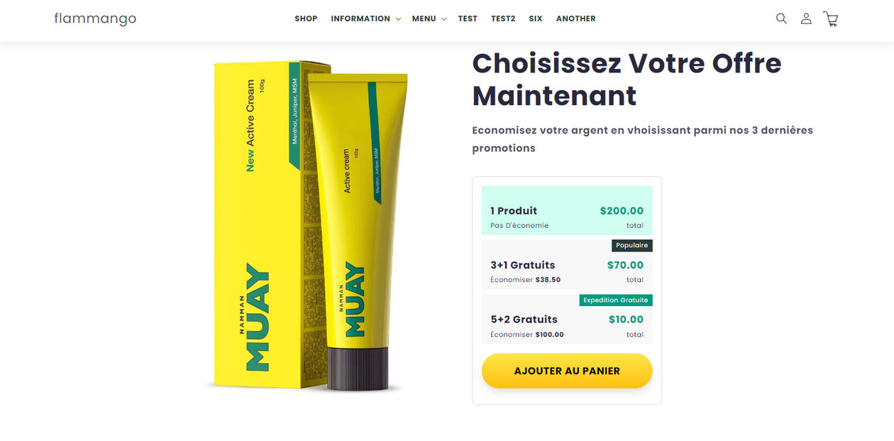 I will customize your shopify theme