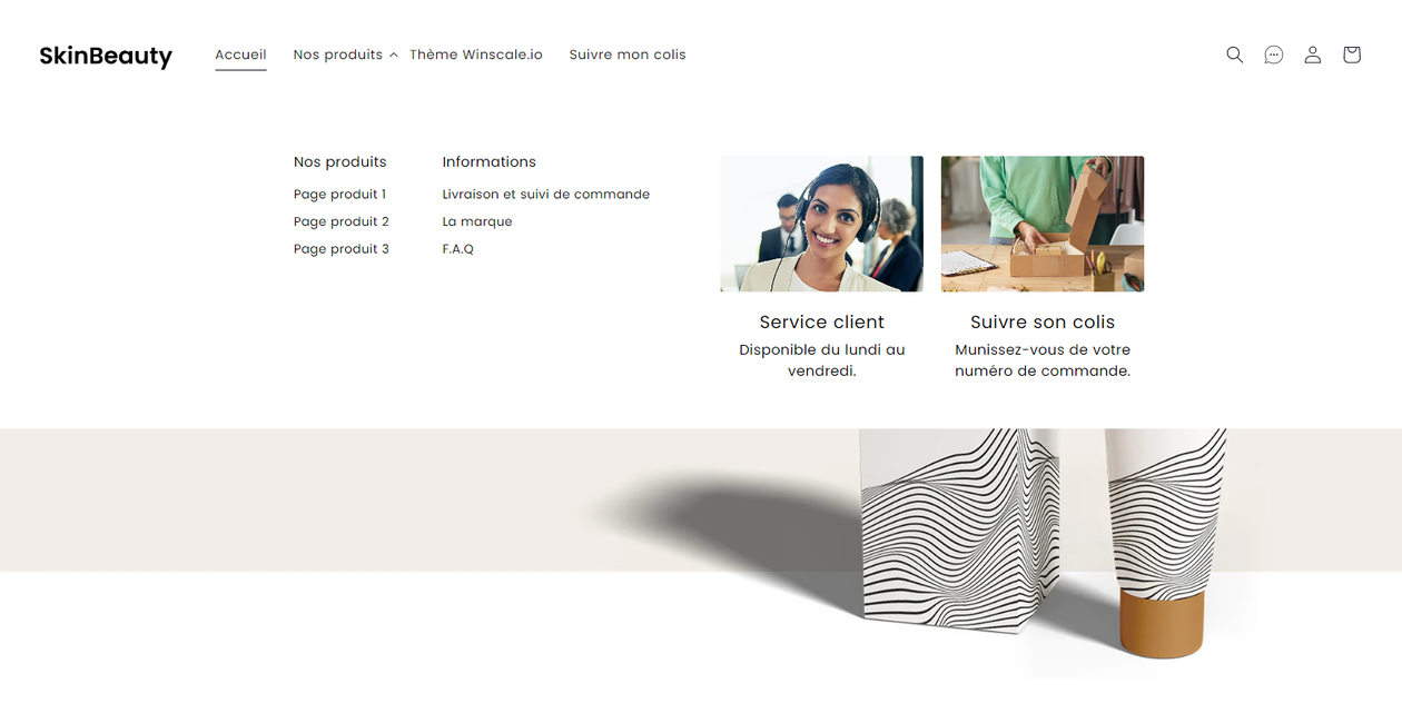 I will customize your shopify theme