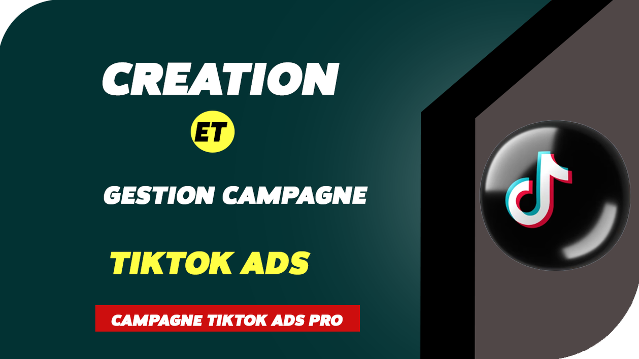 Je vais créer et gérer vos campagnes publicitaires sur TikTok