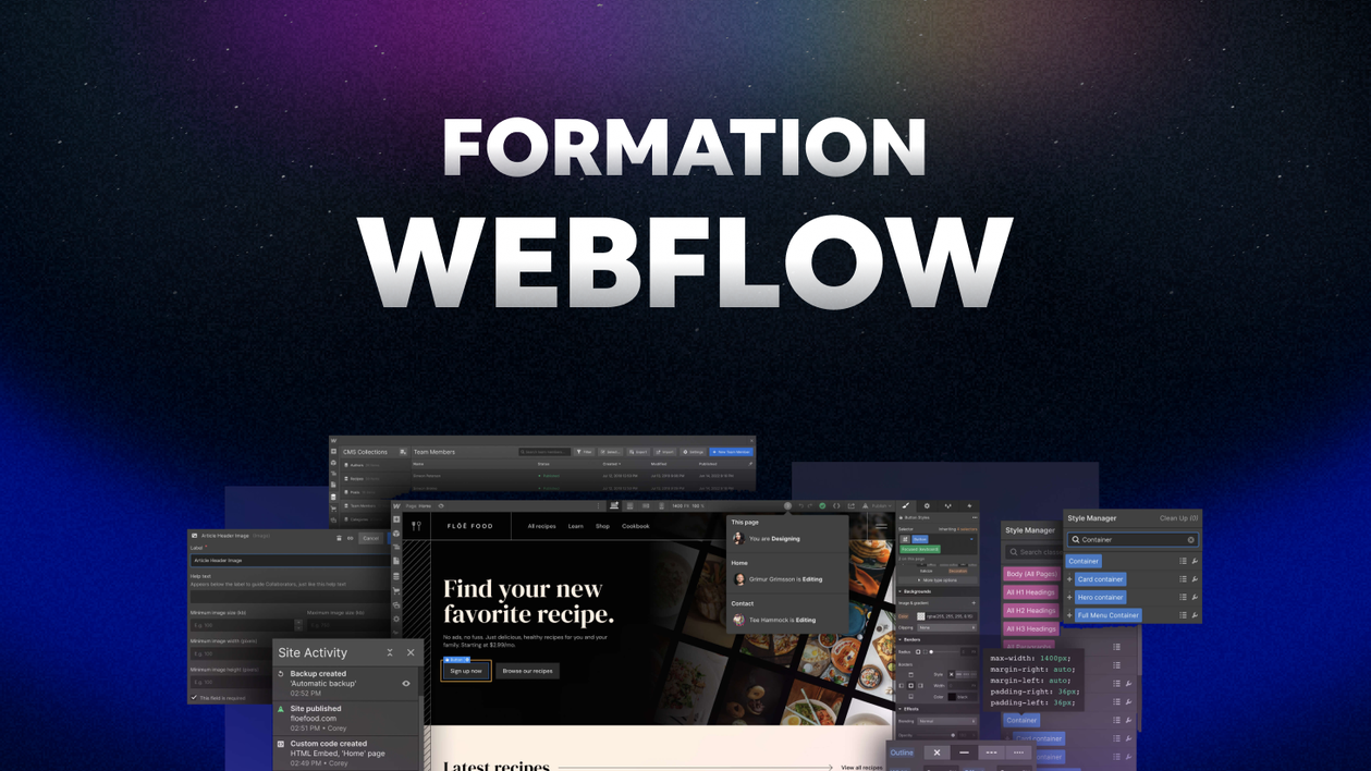 Je vais vous former sur Webflow, du niveau débutant à avancé