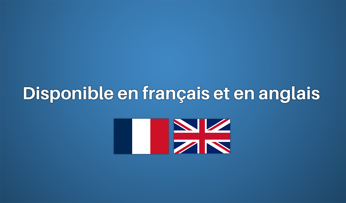 Je vais assurer votre service client en anglais et en francais pendant 1 mois par Adam_hlt