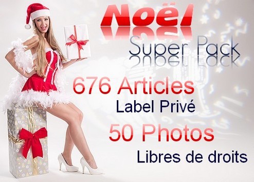 Je vais vous fournir 676 Articles LABEL PRIVE en anglais sur Noël + 50 Photos Libres de droit