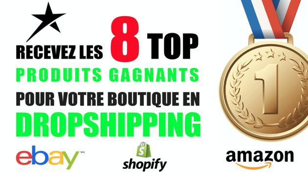 Je vais vous envoyer 8 TOP PRODUITS GAGNANTS pour votre boutique de Dropshipping