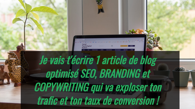 Je vais écrire 1 article de blog optimisé  SEO, Branding et Copywriting