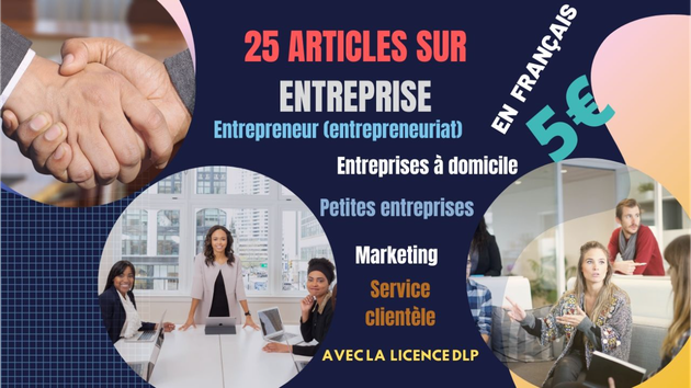 Je vais vous livrer 25 articles sur la thématique "ENTREPRISE" en FRANÇAIS avec Licence DLP