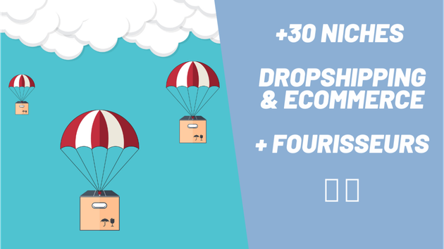 Je vais vous fournir 30 idées de niches rentables dropshipping & ecommerce