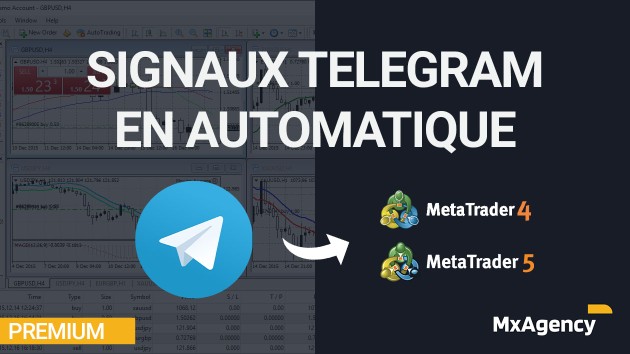 Je vais automatiser vos signaux Telegram sur MT4 ou MT5