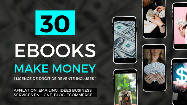 Je vais fournir des ebooks sur le business en ligne / make money