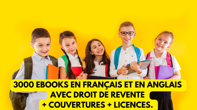 Je vais fournir 3000 ebooks en anglais & français avec droit de revente, plus les couvertures et licences